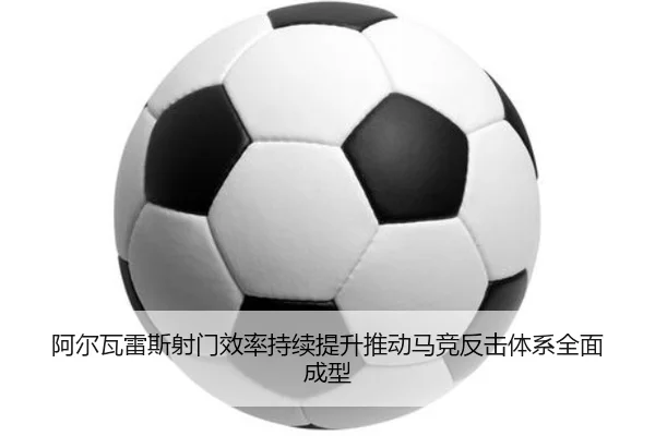 img_1783359457556_942_0_265.jpg